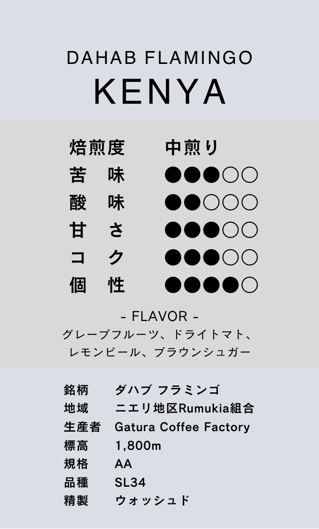 〔ケニア/中煎り〕ダハブ フラミンゴ/ウォッシュド