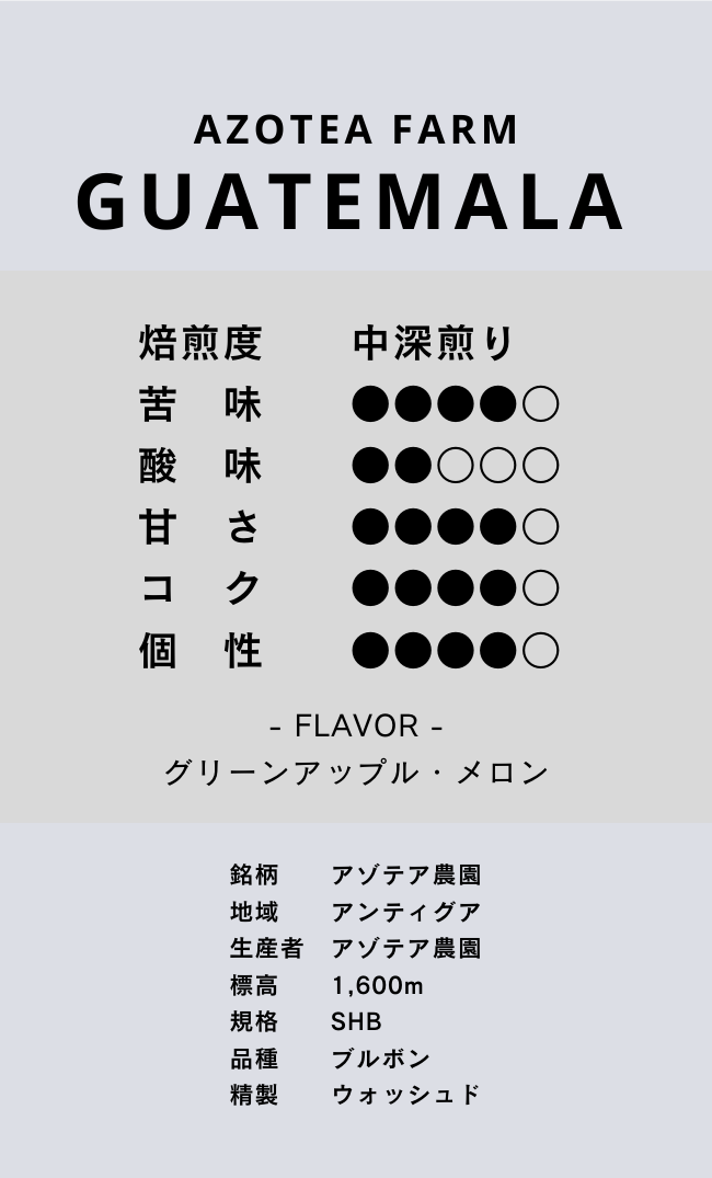 〔グアテマラ/中深煎り〕アゾテア農園/ウォッシュド/SHB