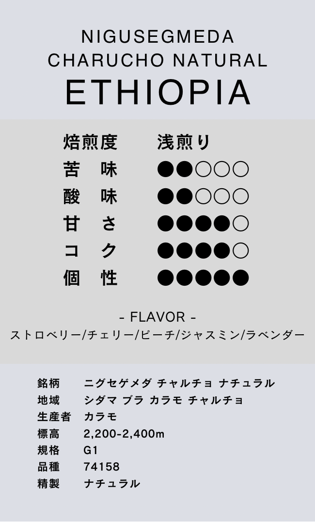 〔エチオピア/浅煎り〕ニグセゲメダ チャルチョ ナチュラル/ナチュラル