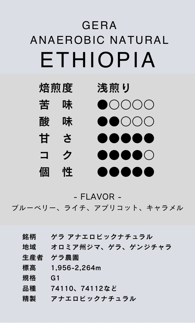 〔エチオピア／浅煎り〕ゲラ アナエロビックナチュラル