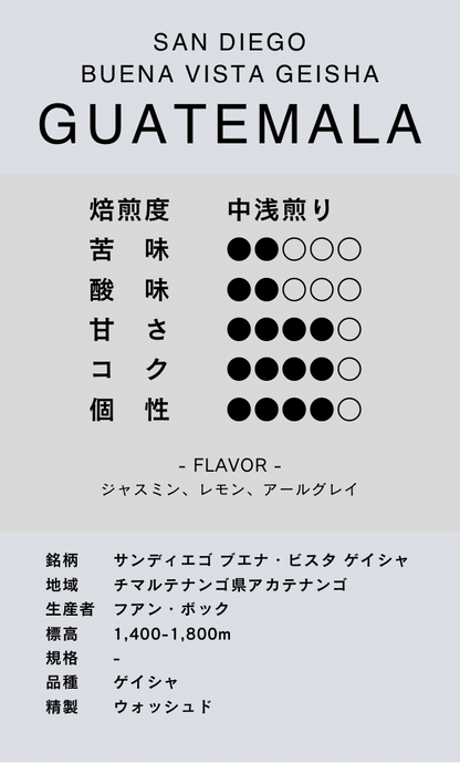 〔グアテマラ／中浅煎り〕サンディエゴ ブエナ・ビスタ ゲイシャ／ウォッシュド