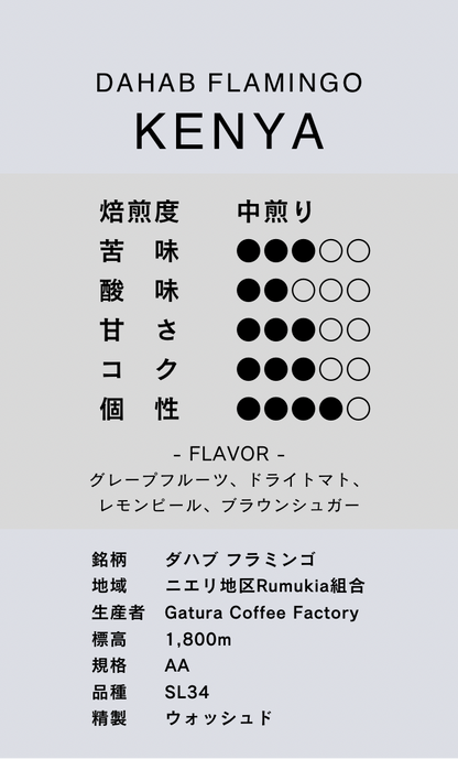 〔ケニア／中煎り〕ダハブ フラミンゴ／ウォッシュド