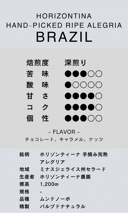 〔ブラジル／深煎り〕ホリゾンティーナ 手摘み完熟 アレグリア／パルプドナチュラル
