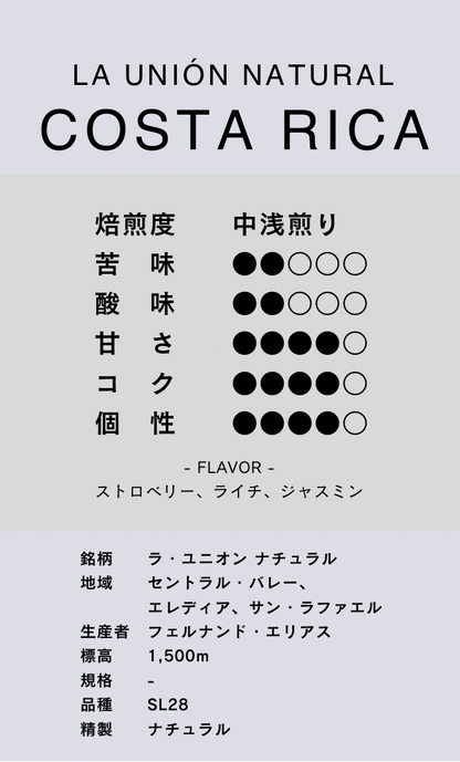 〔コスタリカ／中浅煎り〕ラ・ユニオン／ナチュラル