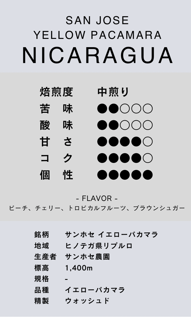 〔ニカラグア／中煎り〕サンホセ イエローパカマラ／ウォッシュド