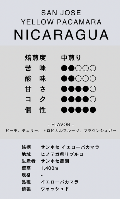 〔ニカラグア／中煎り〕サンホセ イエローパカマラ／ウォッシュド