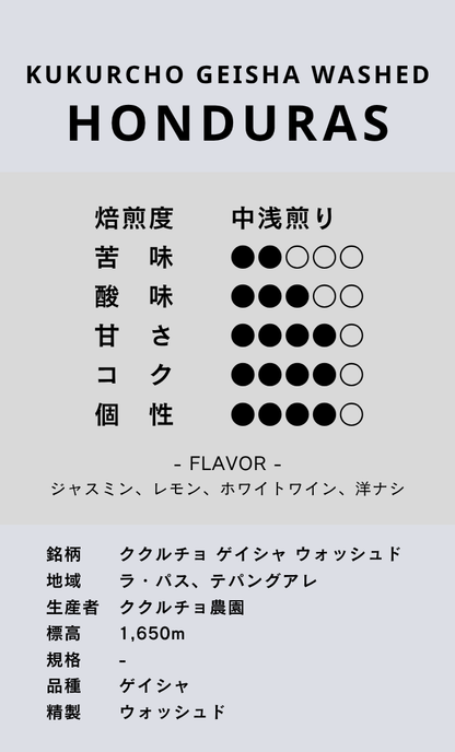 〔ホンジュラス／中浅煎り〕ククルチョ ゲイシャ ウォッシュド／ウォッシュド