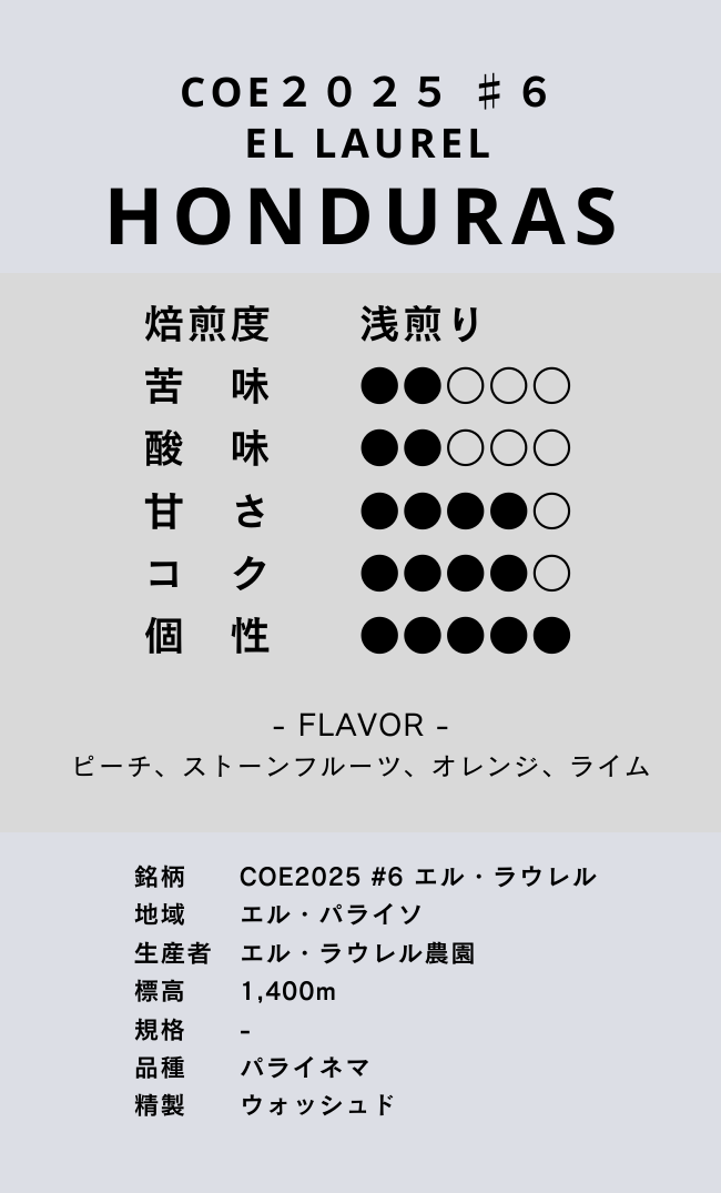 〔ホンジュラス／浅煎り〕COE2025 #6 エル・ラウレル／ウォッシュド