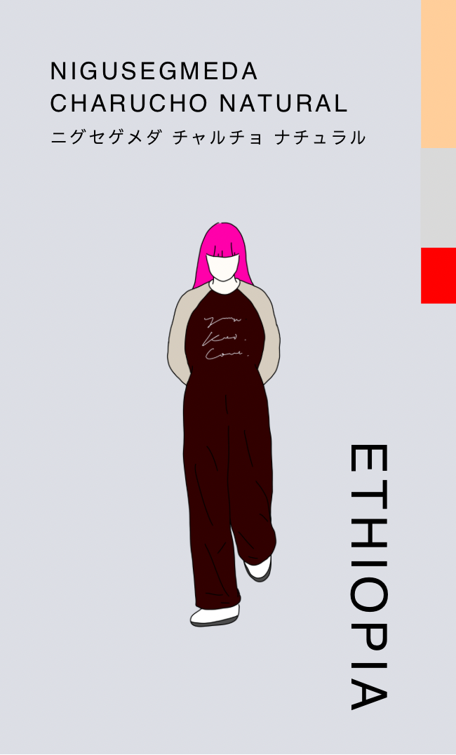 〔エチオピア／浅煎り〕ニグセゲメダ チャルチョ ナチュラル／ナチュラル