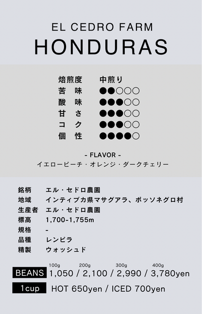 〔ホンジュラス／中浅煎り〕エル・セドロ農園／ウォッシュド