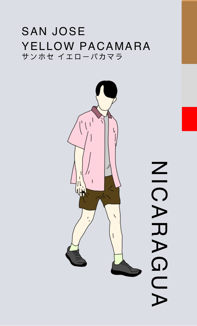 〔ニカラグア／中煎り〕サンホセ イエローパカマラ／ウォッシュド