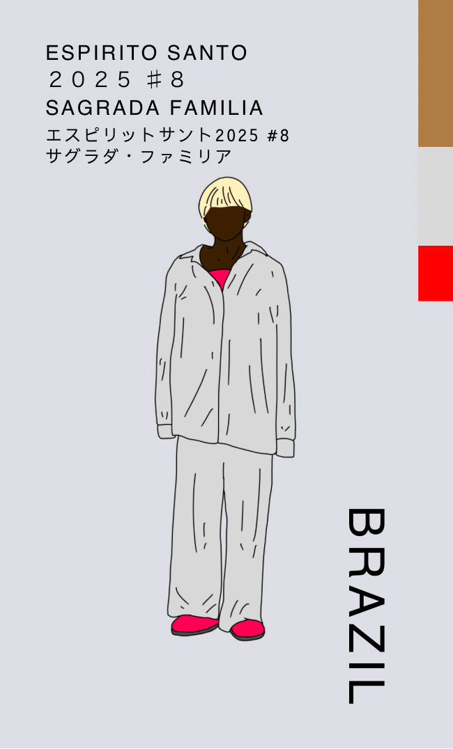 〔ブラジル／中煎り〕エスピリットサント2025 #8 サグラダ・ファミリア／パルプドナチュラル