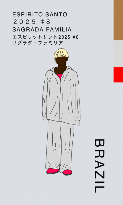 〔ブラジル／中煎り〕エスピリットサント2025 #8 サグラダ・ファミリア／パルプドナチュラル