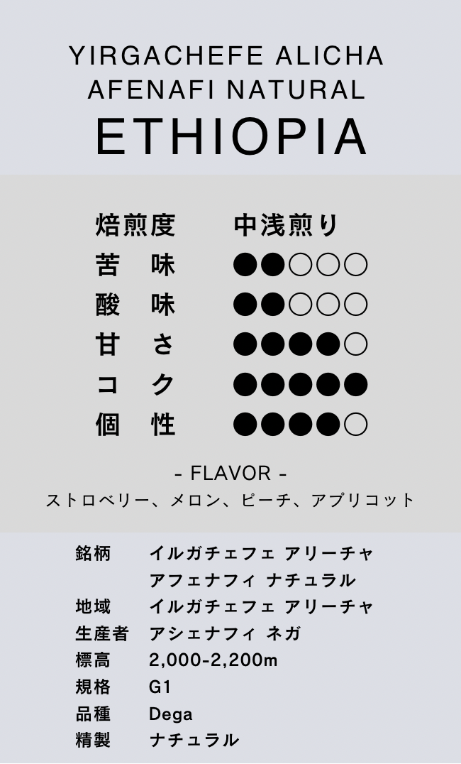 〔エチオピア／中浅煎り〕イルガチェフェ アリーチャ アフェナフィ ナチュラル／ナチュラル