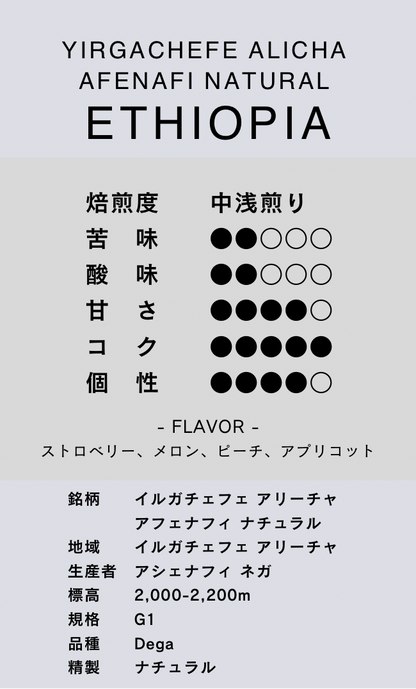 〔エチオピア／中浅煎り〕イルガチェフェ アリーチャ アフェナフィ ナチュラル／ナチュラル