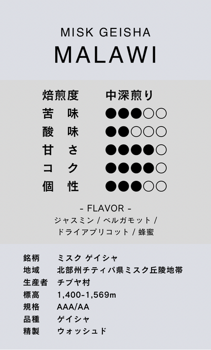 〔マラウイ／中深煎り〕ミスク ゲイシャ／ウォッシュド