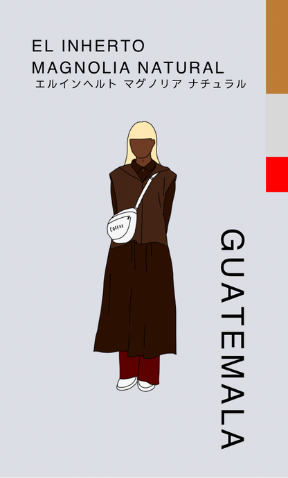 〔グアテマラ／中煎り〕エルインヘルト マグノリア ナチュラル／ナチュラル