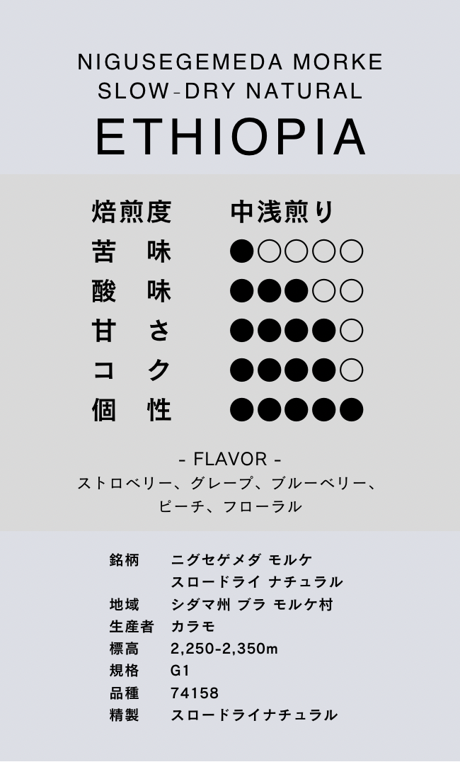 〔エチオピア／中浅煎り〕ニグセゲメダ モルケ／スロードライ ナチュラル