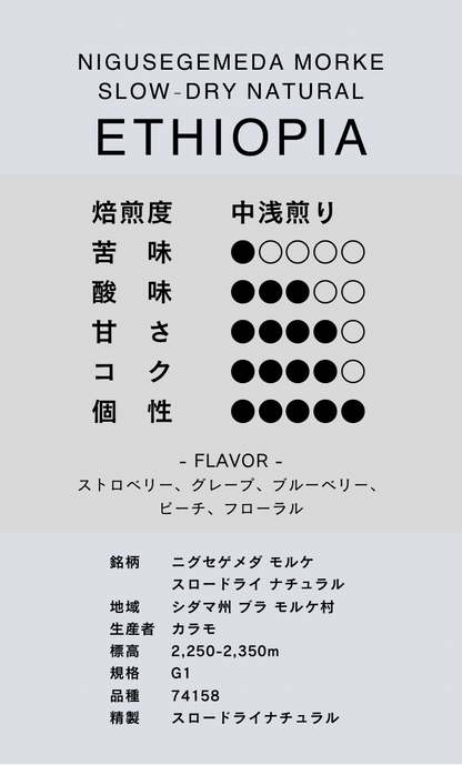 〔エチオピア／中浅煎り〕ニグセゲメダ モルケ／スロードライ ナチュラル