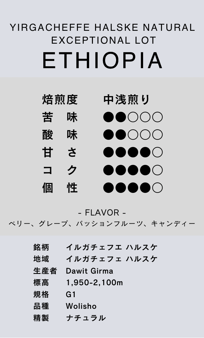〔エチオピア／中煎り〕イルガチェフェ ハルスケ ナチュラル Exceptional Lot ／ナチュラル