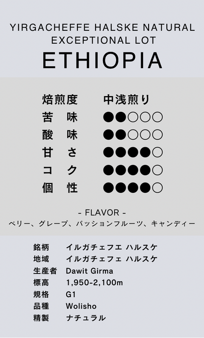 〔エチオピア／中煎り〕イルガチェフェ ハルスケ ナチュラル Exceptional Lot ／ナチュラル