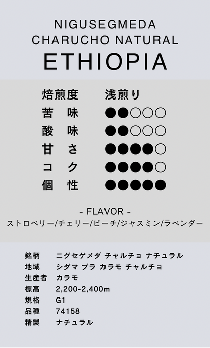〔エチオピア／浅煎り〕ニグセゲメダ チャルチョ ナチュラル／ナチュラル