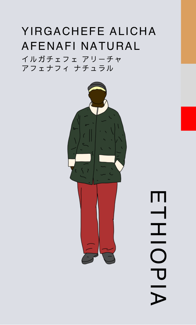 〔エチオピア／中浅煎り〕イルガチェフェ アリーチャ アフェナフィ ナチュラル／ナチュラル