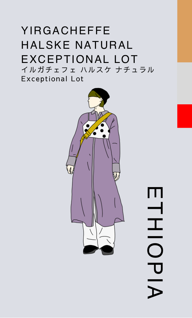 〔エチオピア／中煎り〕イルガチェフェ ハルスケ ナチュラル Exceptional Lot ／ナチュラル