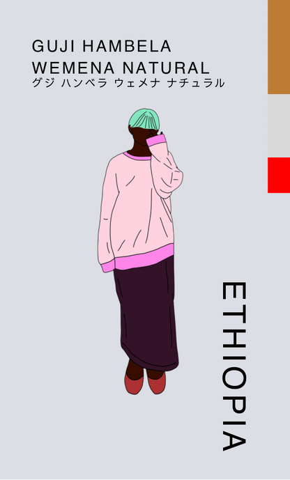 〔エチオピア／中煎り〕グジ ハンベラ ウェメナ ナチュラル／ナチュラル