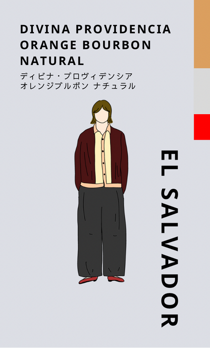 〔エルサルバドル／中浅煎り〕ディビナ・プロヴィデンシア オレンジブルボン／ナチュラル