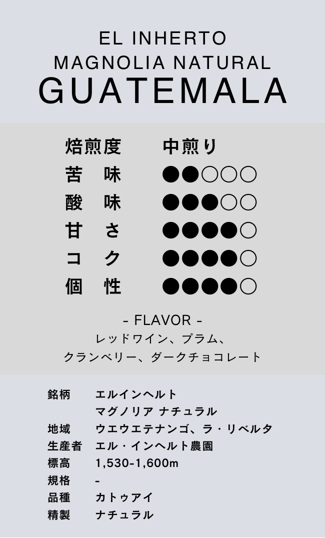 〔グアテマラ／中煎り〕エルインヘルト マグノリア ナチュラル／ナチュラル