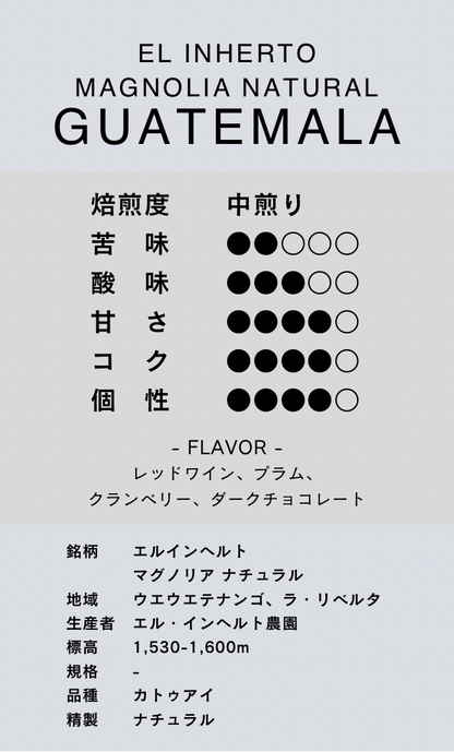 〔グアテマラ／中煎り〕エルインヘルト マグノリア ナチュラル／ナチュラル